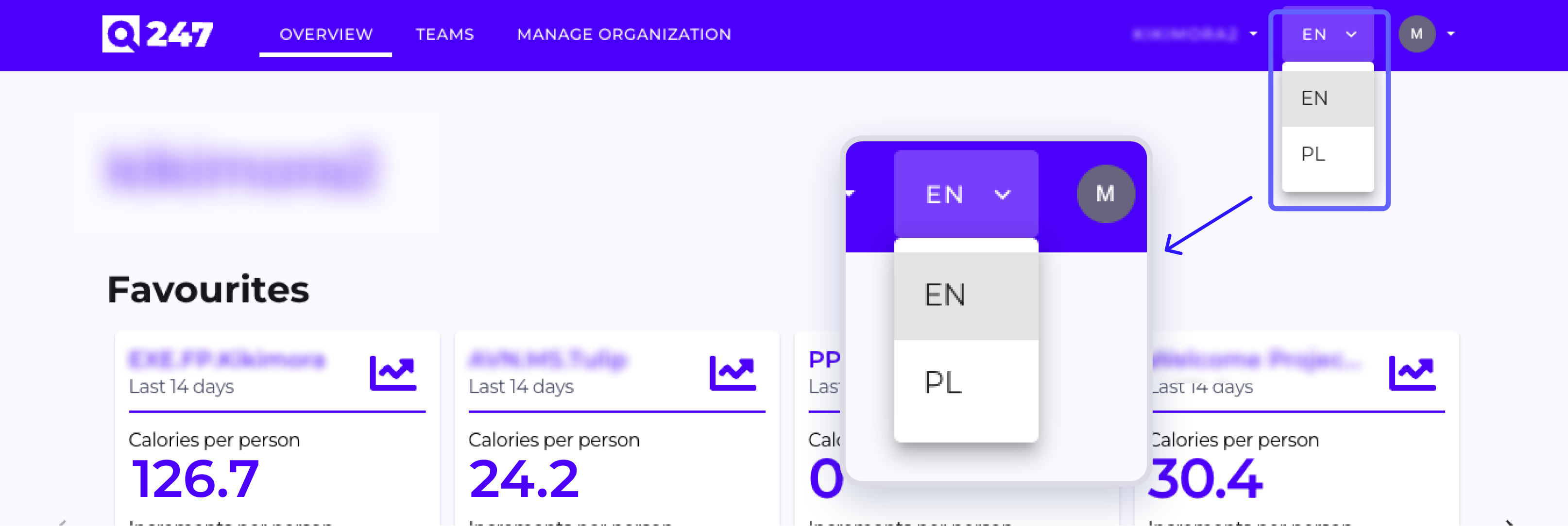 Polish language support